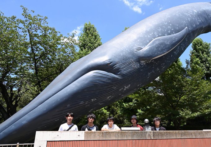 Whale Headed Alcoholic